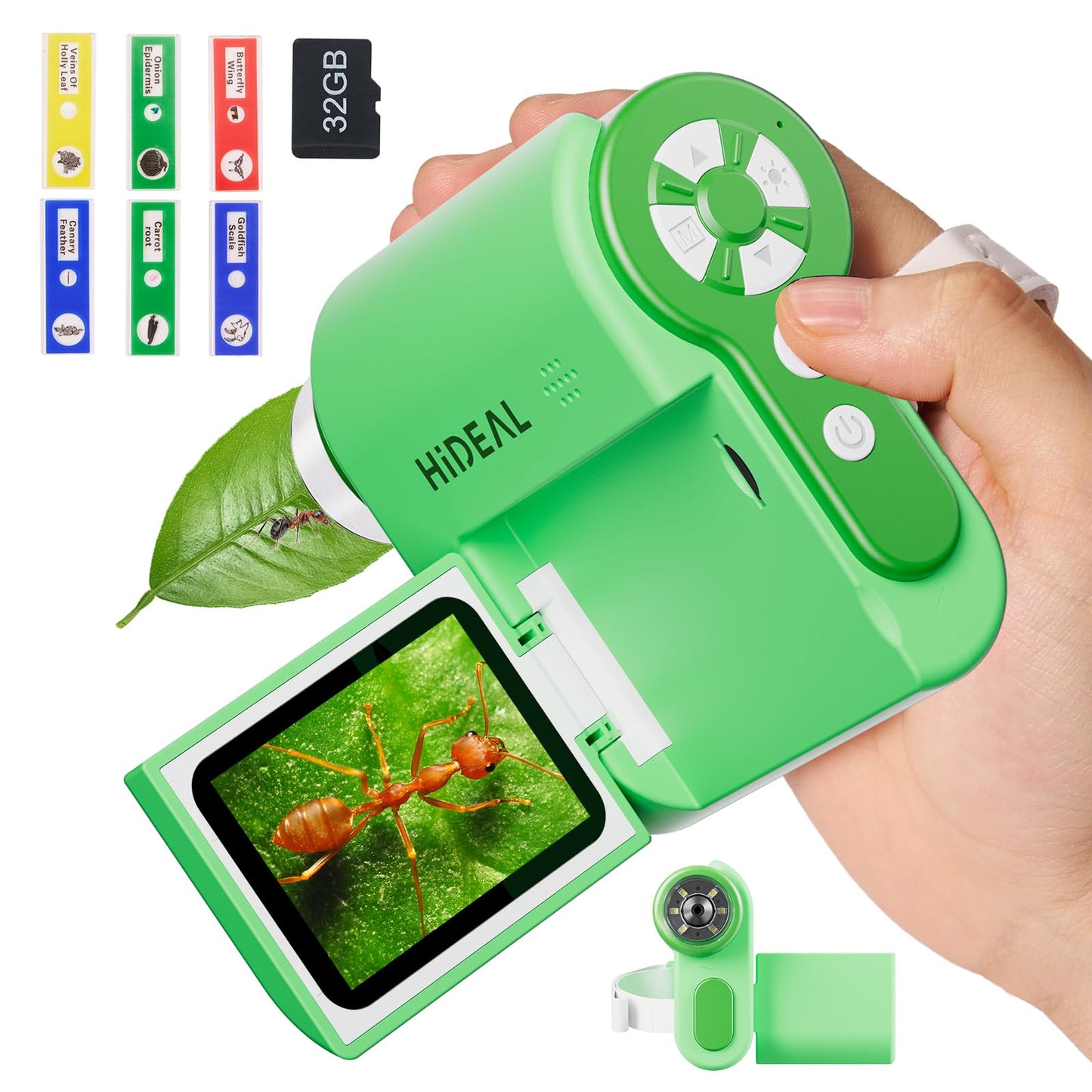Hideal HP20 IPS Microscope for Kids – 3-in-1 Portable Mini Scope (100X-1000X), 32GB, Green