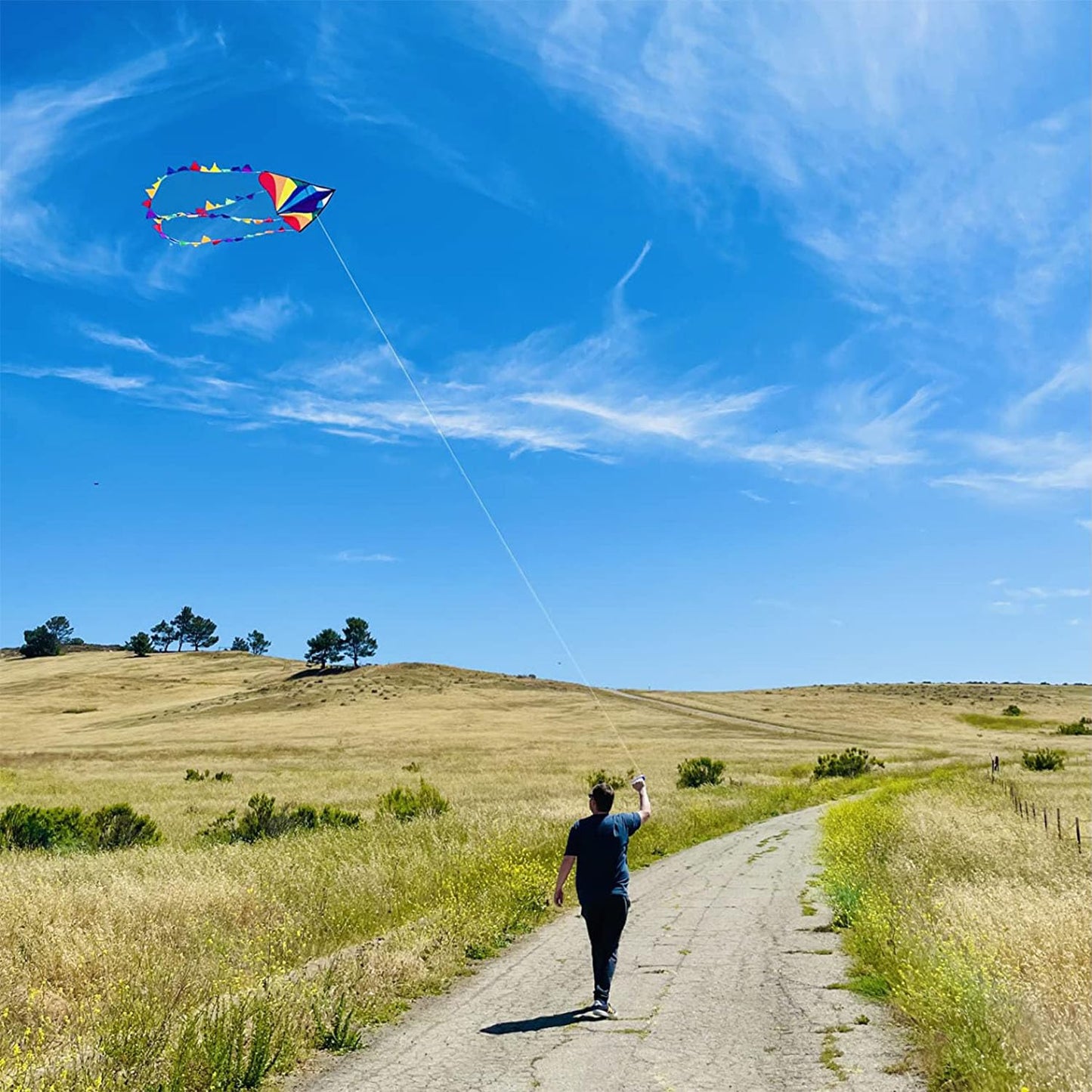 Honbo Large Delta Kite 54x31 — Easy Setup, 13ft Rainbow Tails, Beach Family Fun