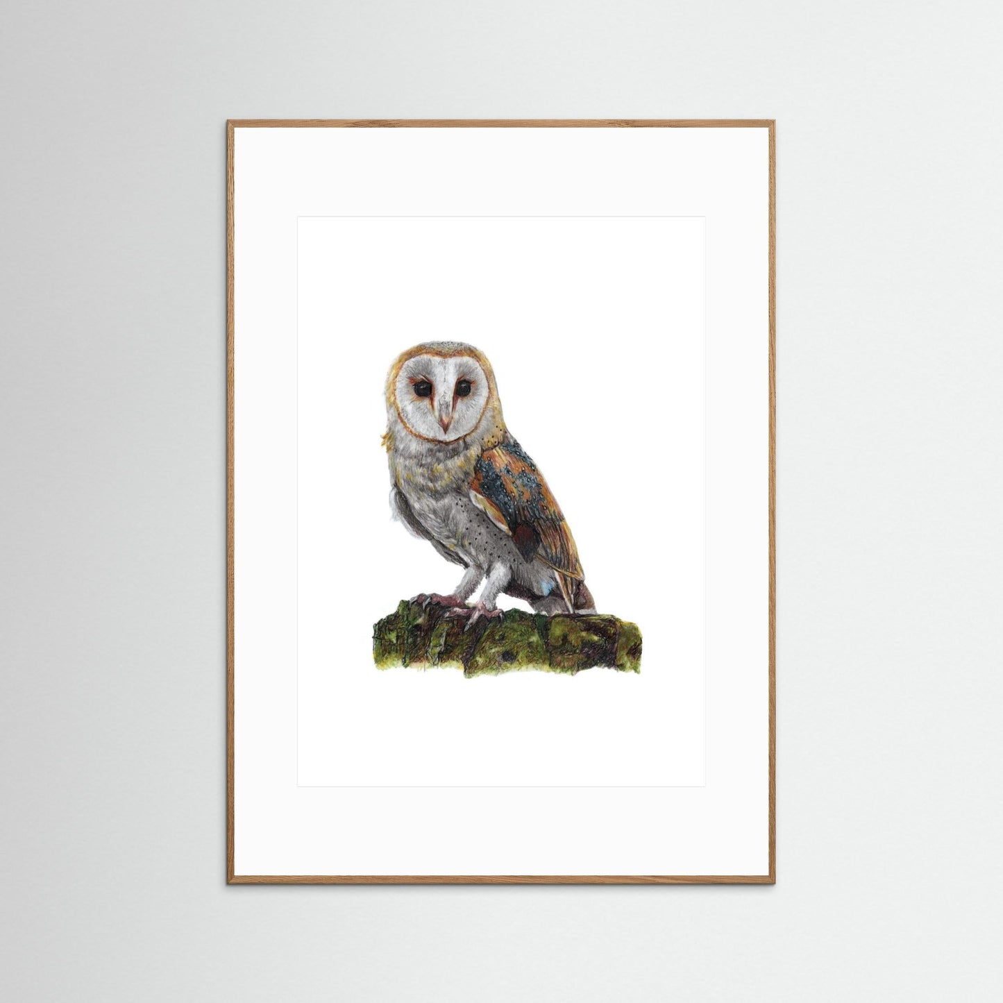 Barn Owl Wildlife Framed Art Print | British Bird Wall Art
