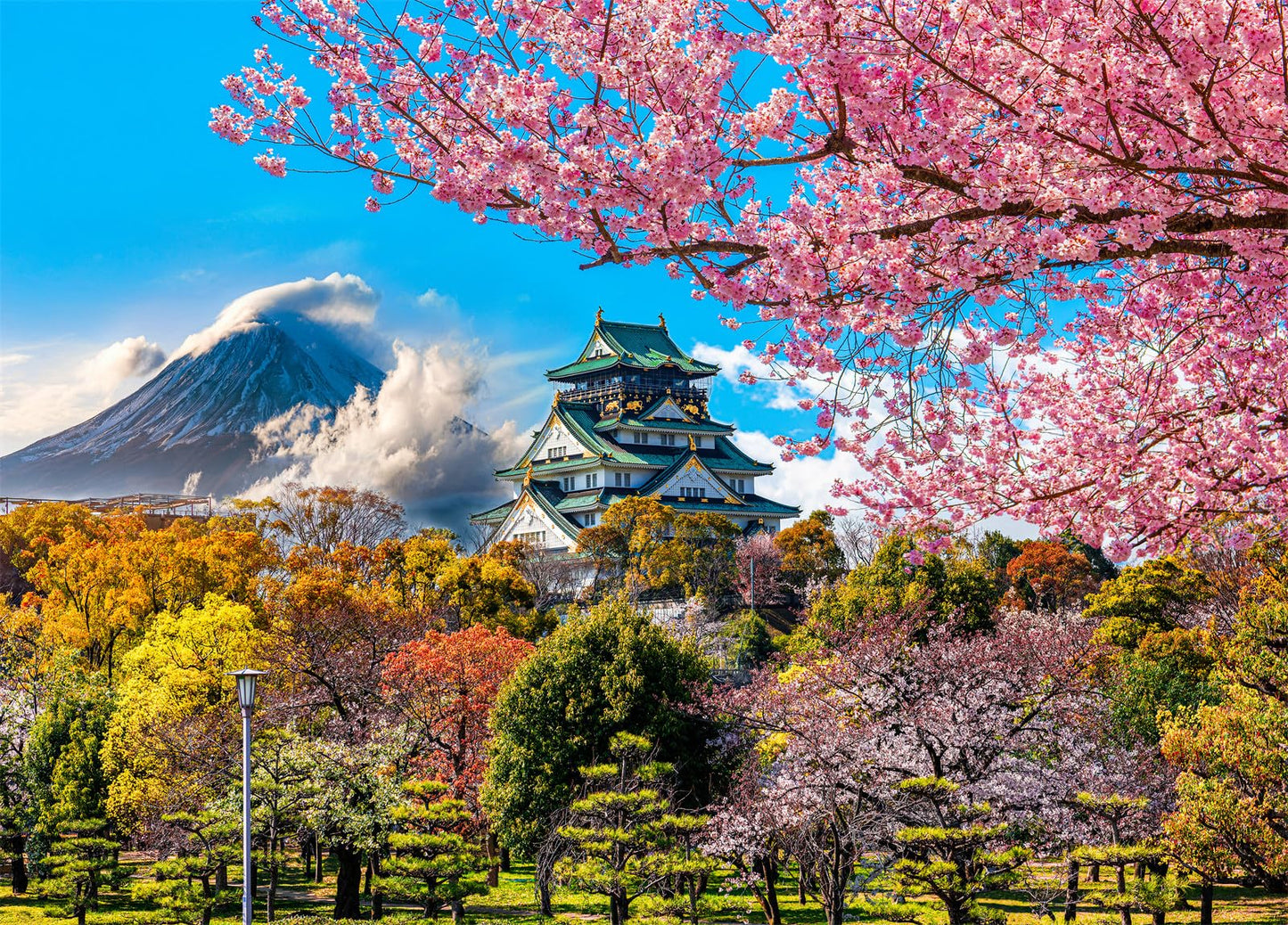 HUADADA 1000-Piece Puzzle: Cherry Blossoms at Osaka Castle – Jigsaw for Adults & Kids