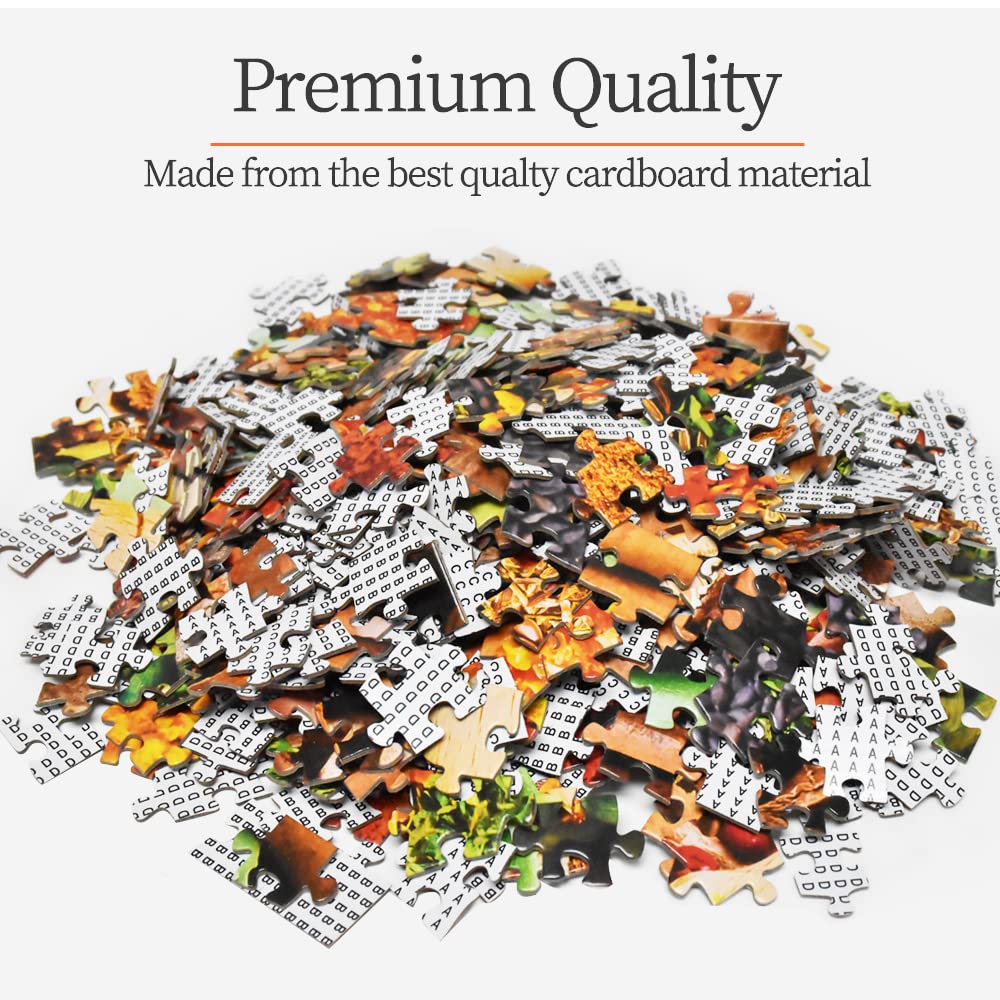 HUADADA 1000 Piece Puzzle – Colourful Spices for Adults & Kids | Premium Jigsaw