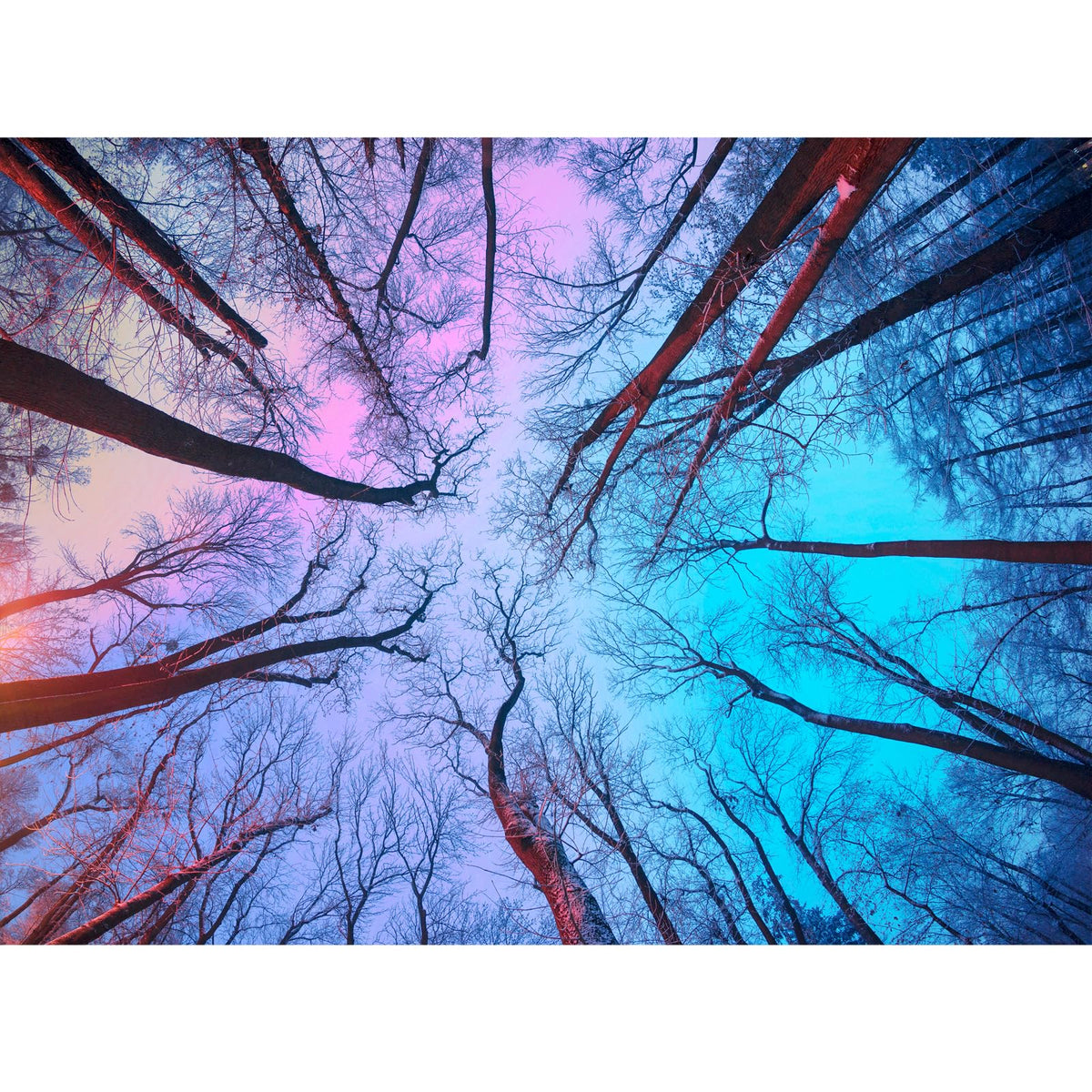 HUADADA 1000-Piece Winter Forest Puzzle for Adults | Challenging Jigsaw Gift