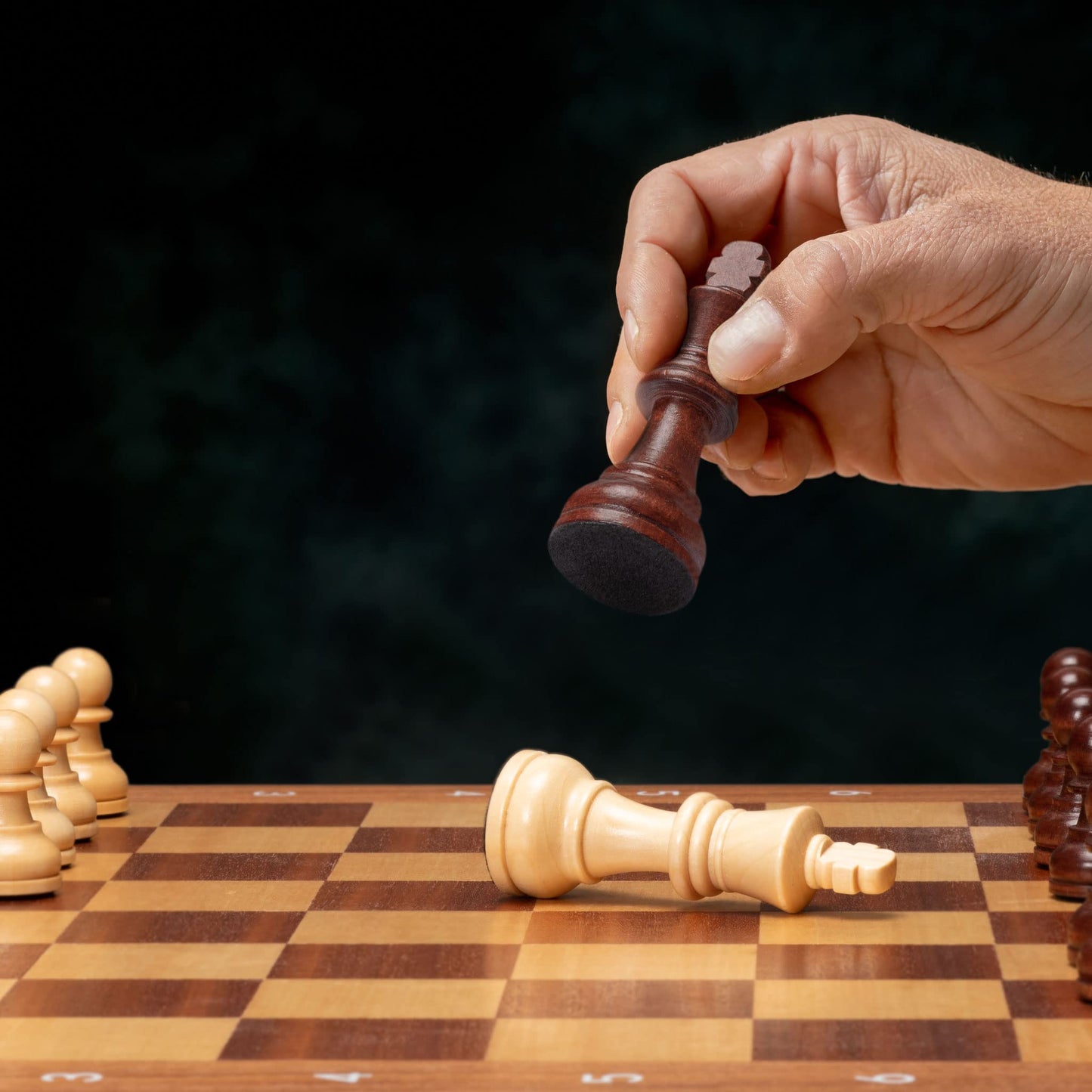 Husaria Staunton Tournament No.5 Chessmen – 2 Extra Queens, Wooden Box, 3.5-inch Kings