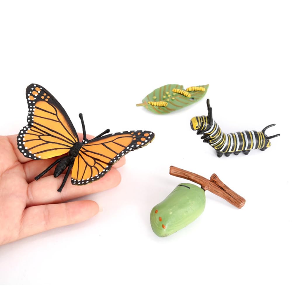 Hvogvok Butterfly Growth Cycle Model – Educational Insect Life Cycle Figurines for Kids