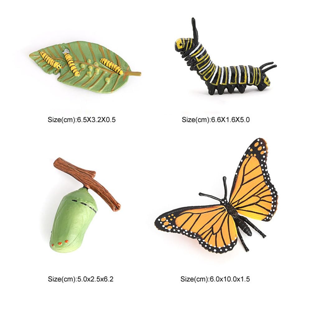 Hvogvok Butterfly Growth Cycle Model – Educational Insect Life Cycle Figurines for Kids