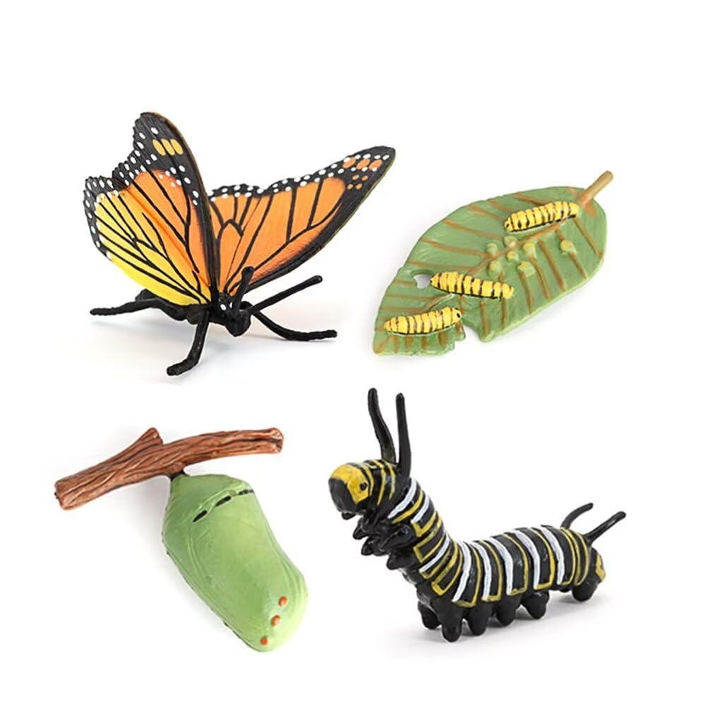 Hvogvok Butterfly Growth Cycle Model – Educational Insect Life Cycle Figurines for Kids