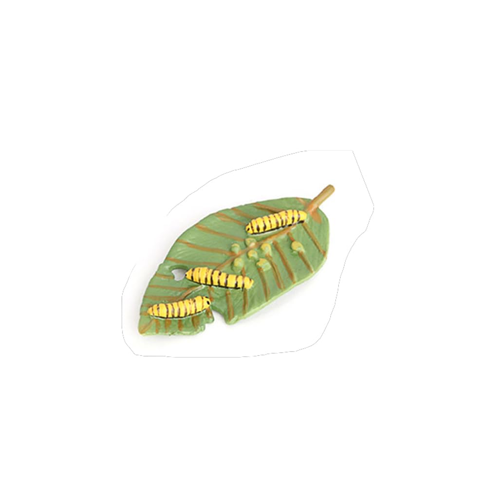 Hvogvok Butterfly Growth Cycle Model – Educational Insect Life Cycle Figurines for Kids