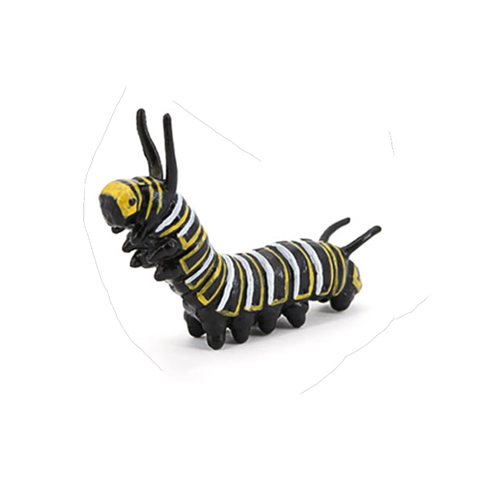 Hvogvok Butterfly Growth Cycle Model – Educational Insect Life Cycle Figurines for Kids