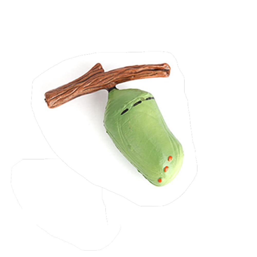 Hvogvok Butterfly Growth Cycle Model – Educational Insect Life Cycle Figurines for Kids