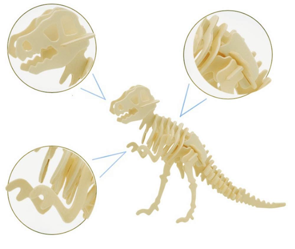 i-CHONY 3D Dinosaur Puzzle Kit — 6 Wooden Skeleton Models for STEM Learning