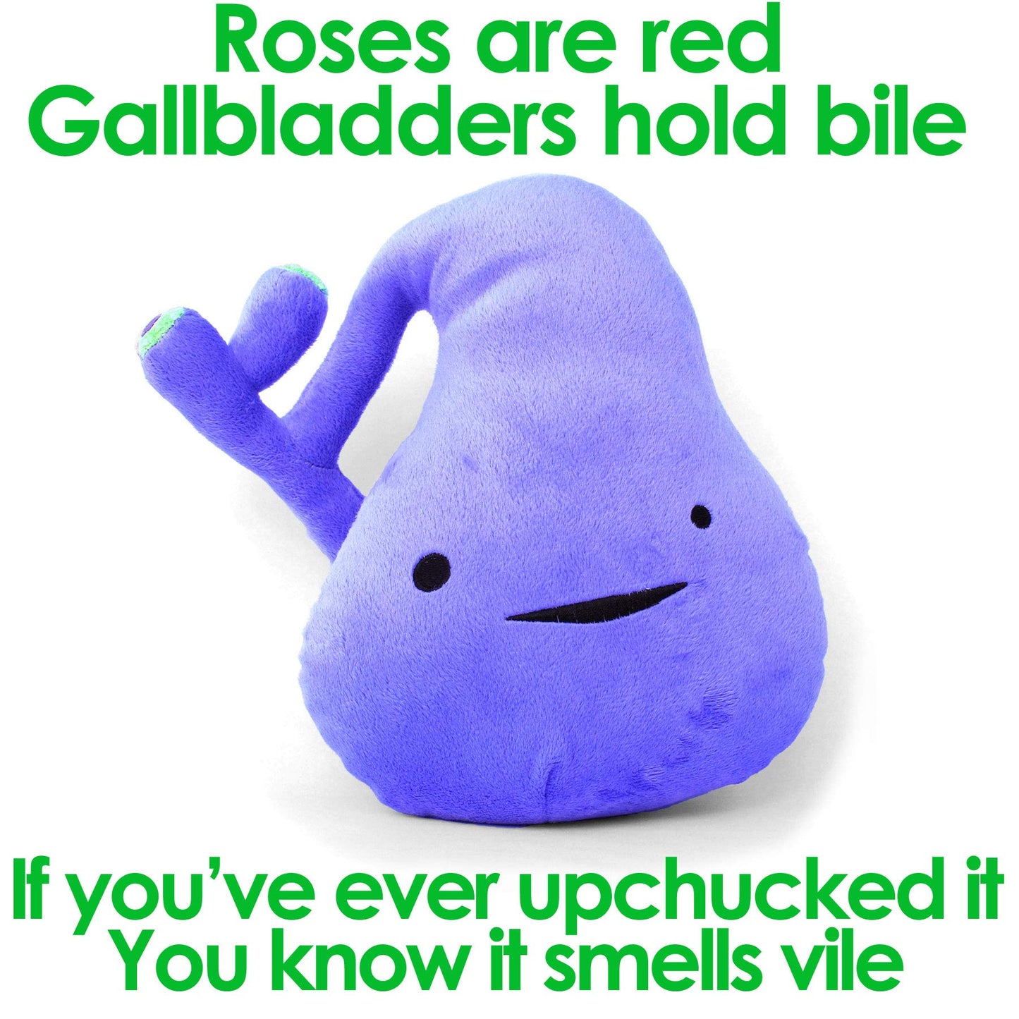 I Heart Guts Gallbladder Plush – 8-Inch Post-Op Recovery Gift