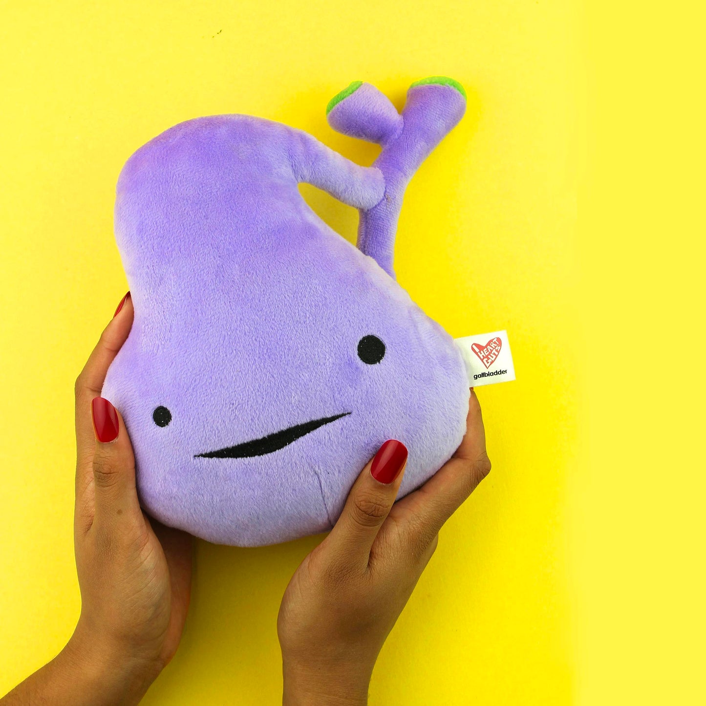 I Heart Guts Gallbladder Plush – 8-Inch Post-Op Recovery Gift