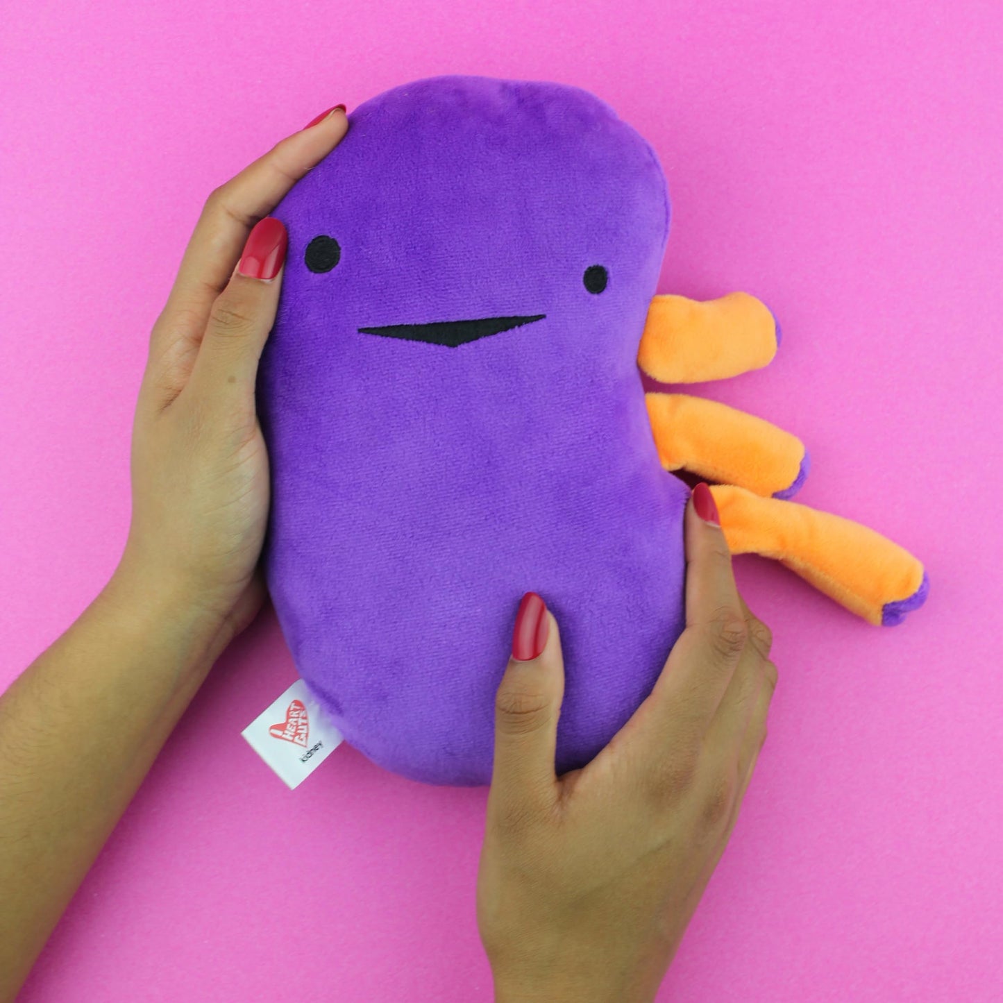 I Heart Guts Kidney Plush – 9-Inch Educational Stuffed Organ Toy