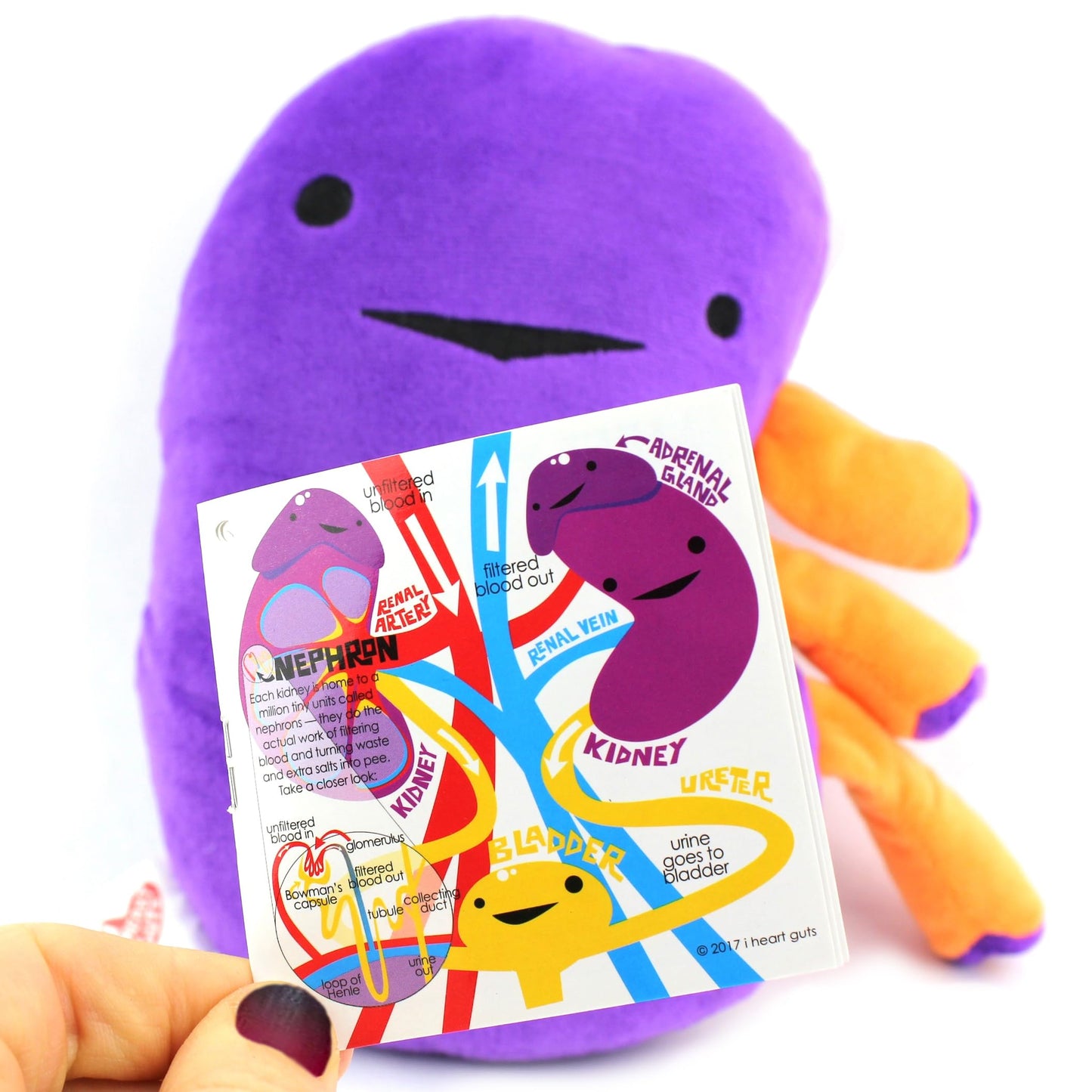 I Heart Guts Kidney Plush – 9-Inch Educational Stuffed Organ Toy