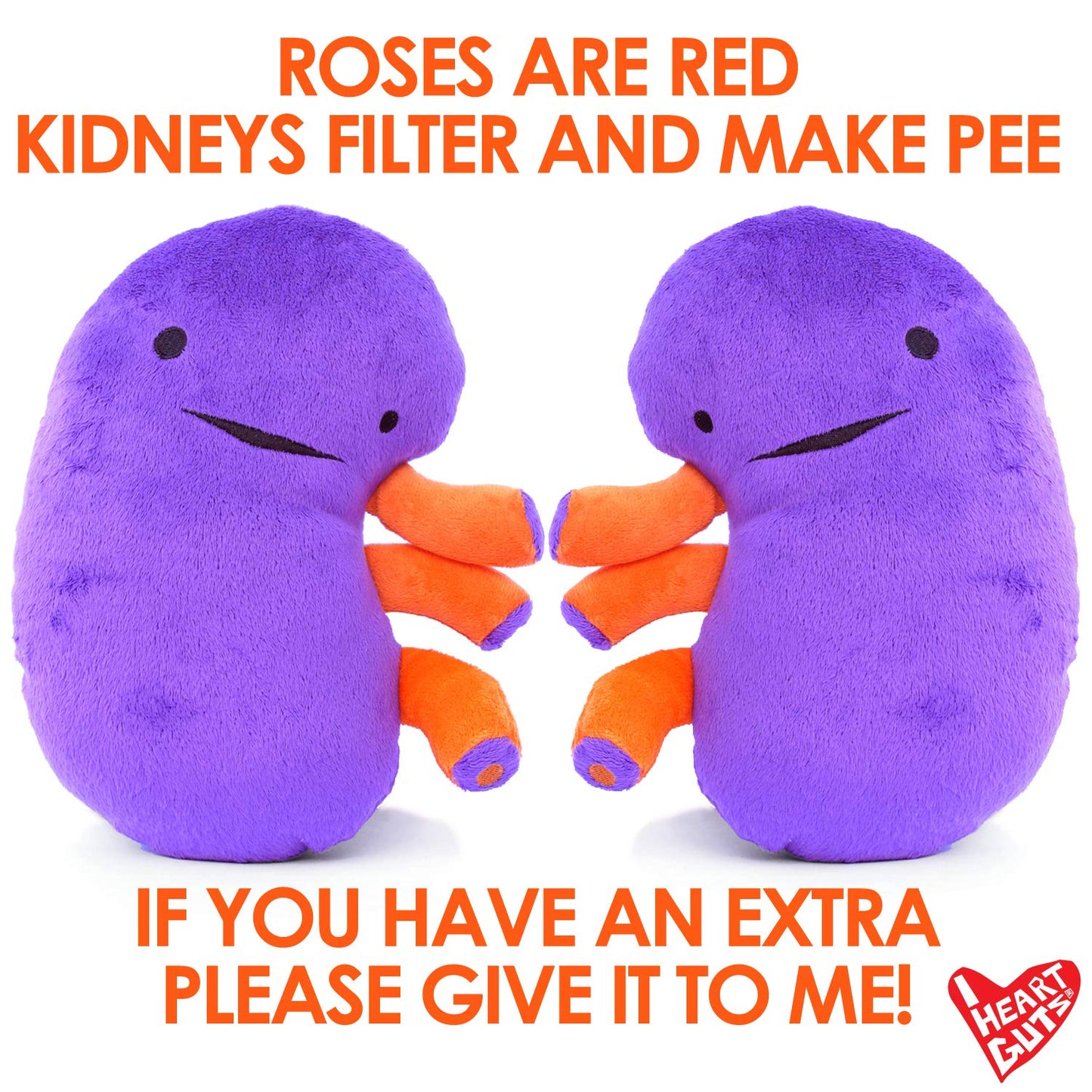 I Heart Guts Kidney Plush – 9-Inch Educational Stuffed Organ Toy