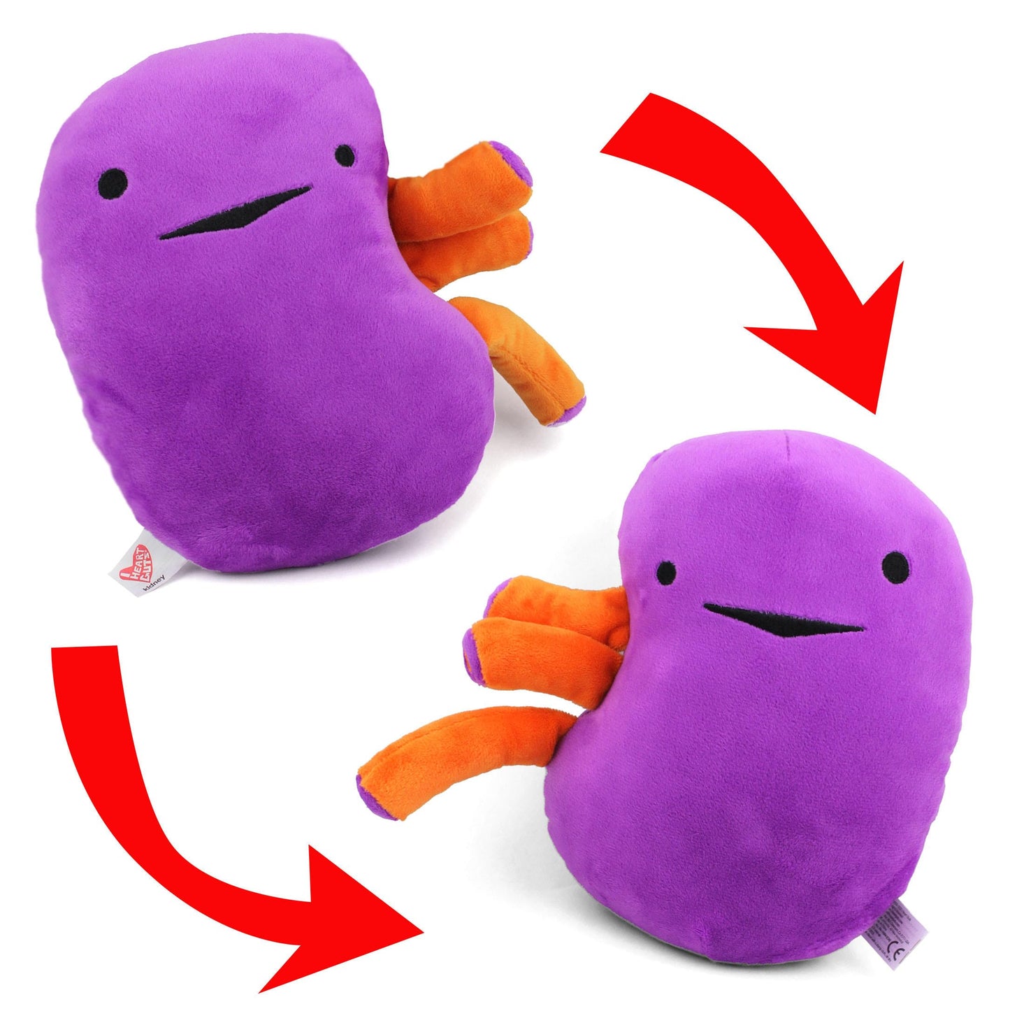 I Heart Guts Kidney Plush – 9-Inch Educational Stuffed Organ Toy