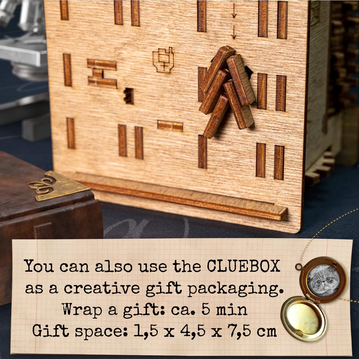 iDventure Cluebox Schroedingers Cat - 3D Escape Room Puzzle Box for 1-2 Players