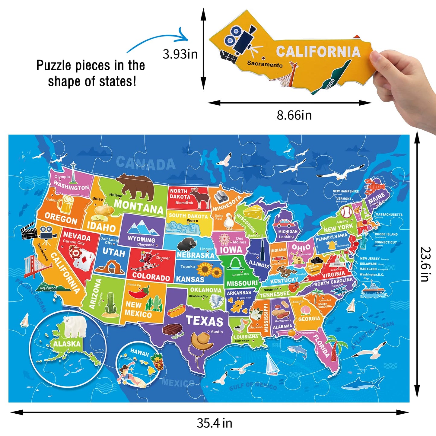 IFLOVE Jumbo Floor Puzzle USA Map for Kids | 70-Piece Capitals & States Puzzle (Ages 3-8)