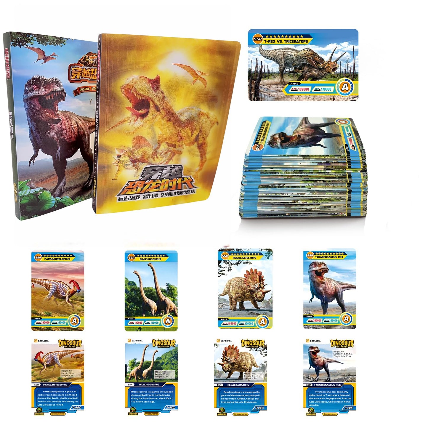 IKRUZZI Dinosaur Flash Cards – 168-Count Educational Set with Binders