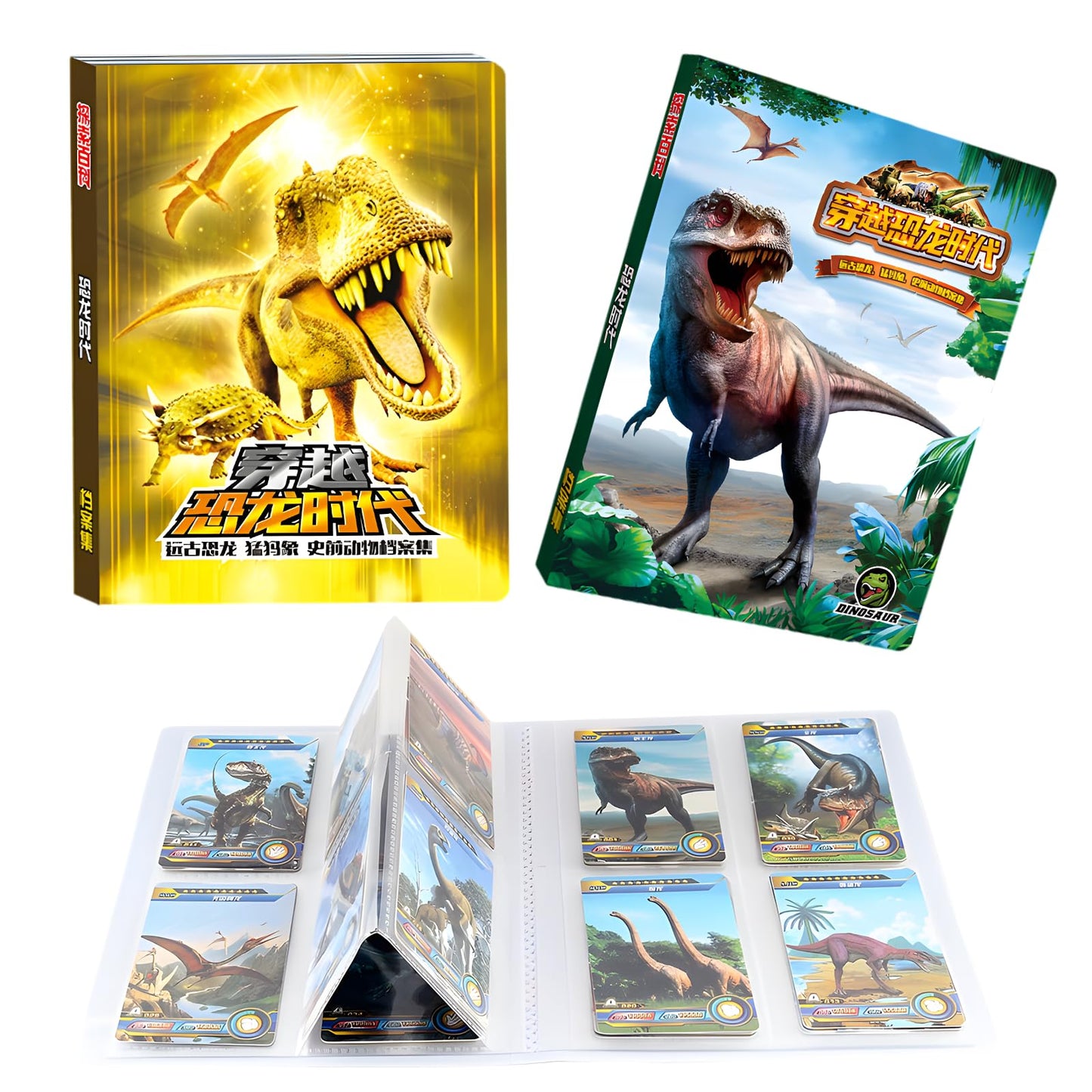 IKRUZZI Dinosaur Flash Cards – 168-Count Educational Set with Binders