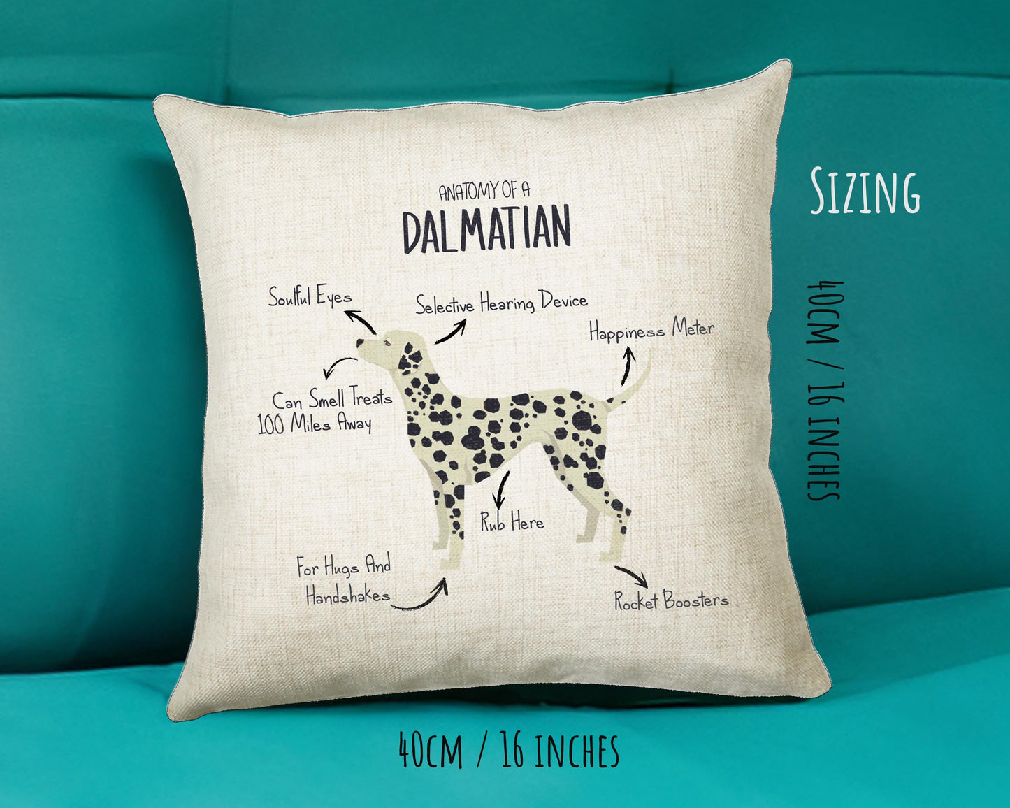 Anatomy of a Dalmatian Funny Gift For Him Or Her Cushion Pillow Bedroom Decor STC0088