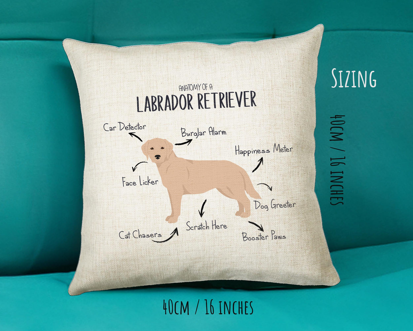 Anatomy of a Labrador Retriever (Golden) Funny Gift For Him Or Her Cushion Pillow Bedroom Decor STC113