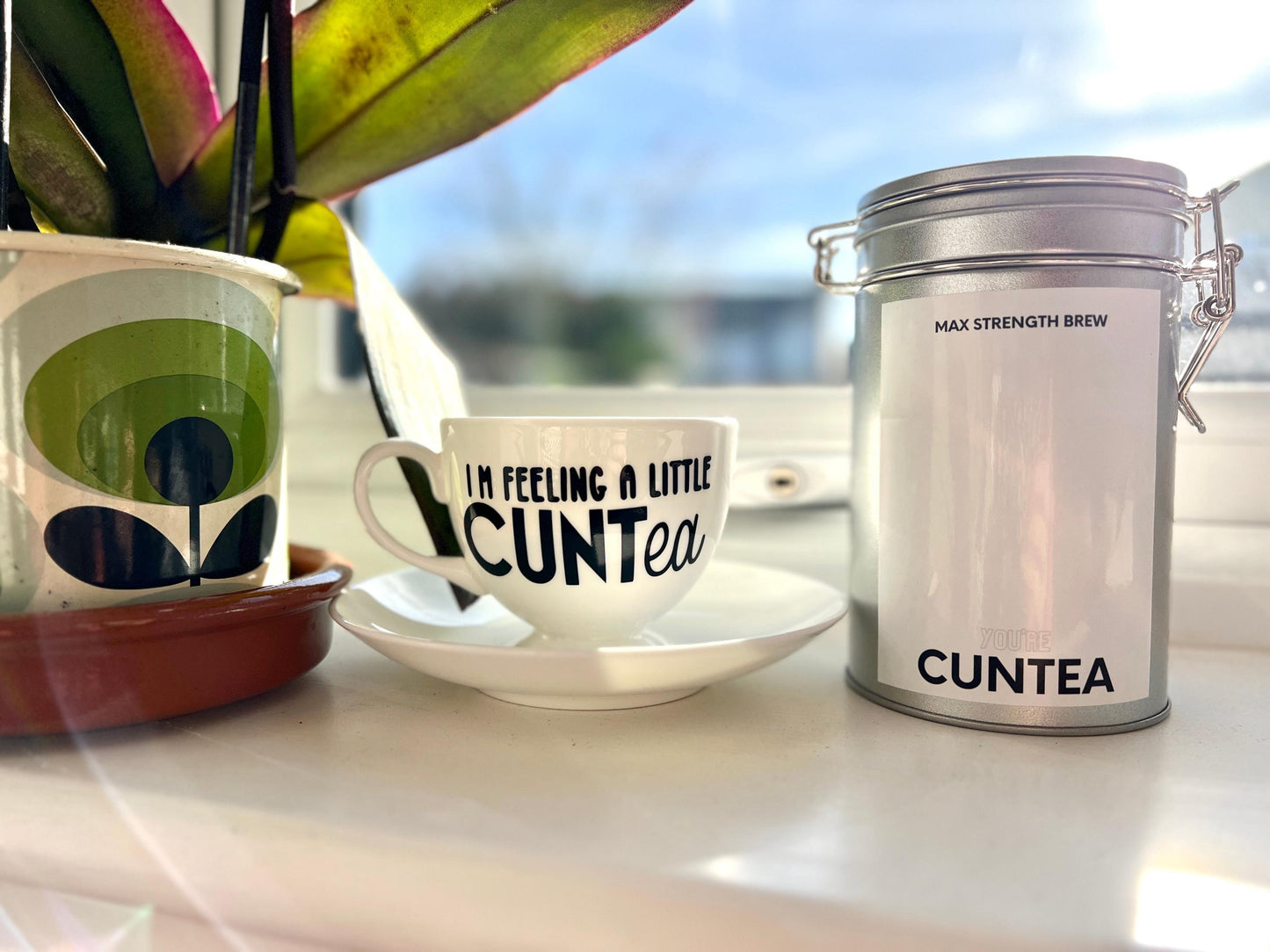 I'm feeling a little CUNTea Cup & Saucer