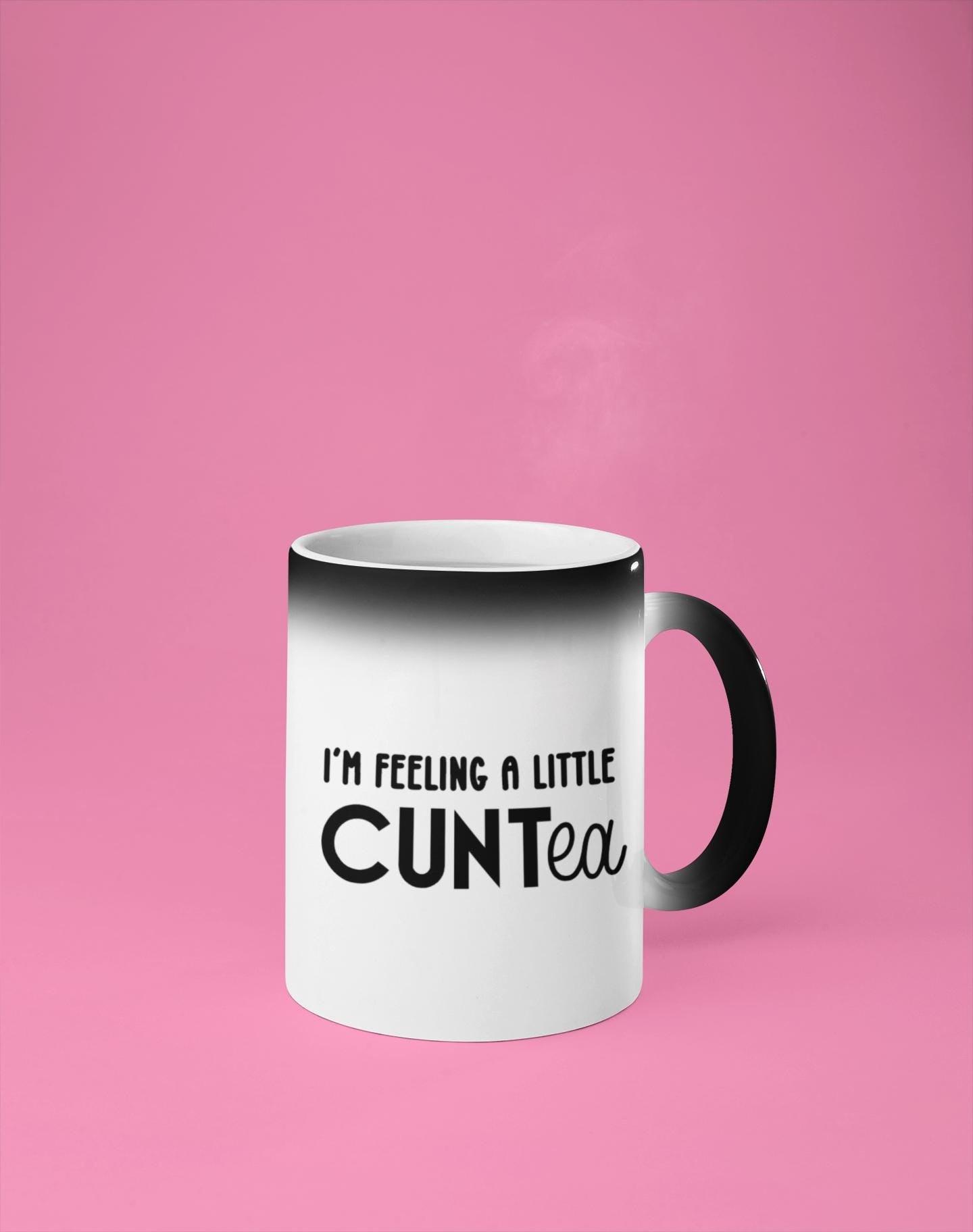 I'm feeling a little CUNTea Mug