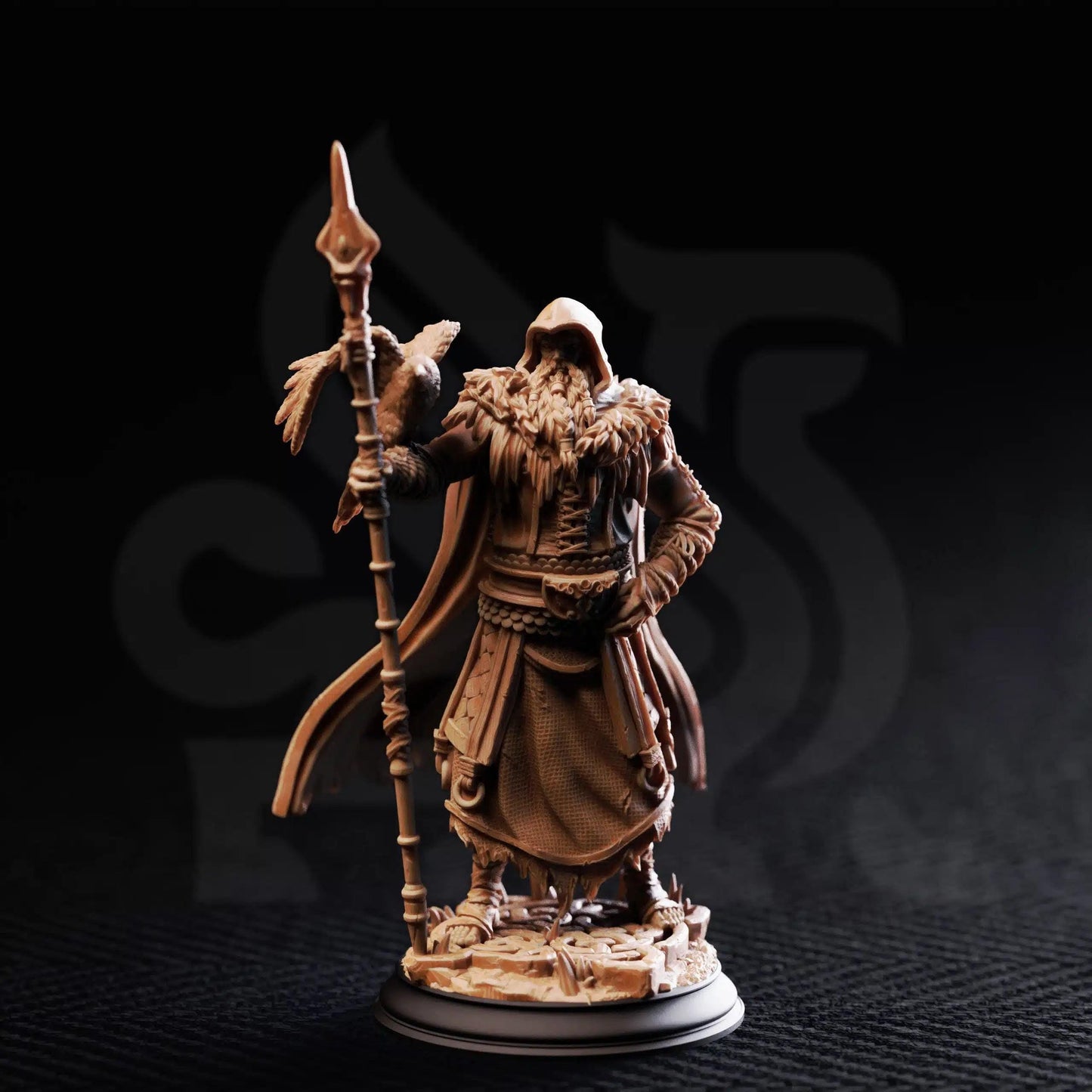 The One Eyed Wanderer - 3D Printed Druid Character Miniature