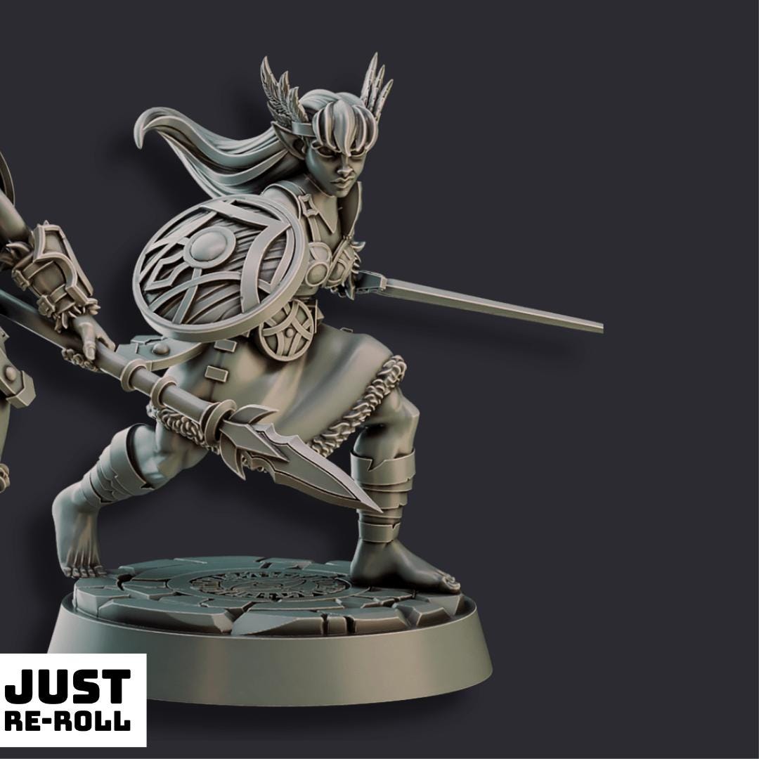 Barbarian Valkyries - 3D Printed Character Miniatures