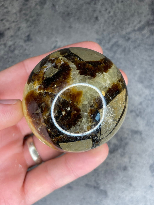 Septarian - Large sphere