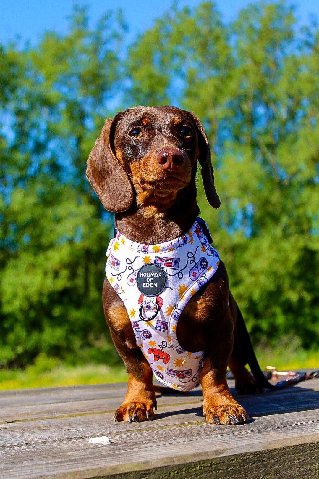 Nintendawg Design Poop Bag Holder