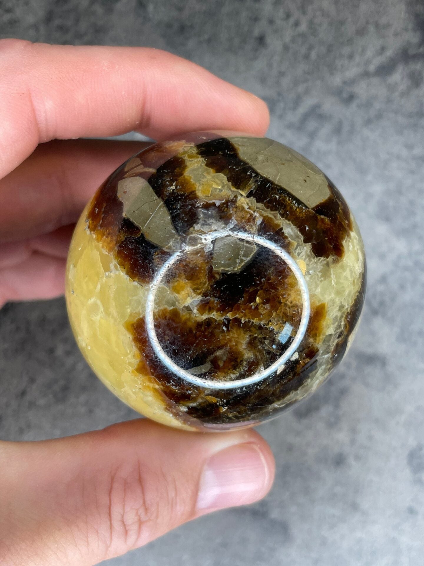 Septarian - Large sphere