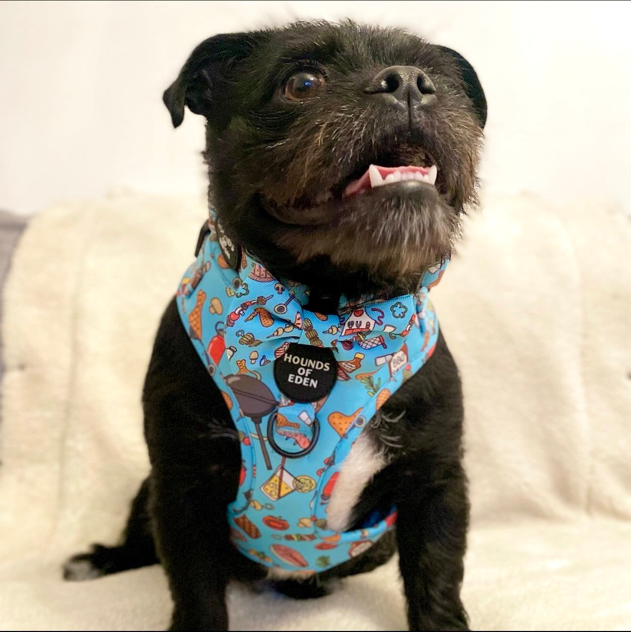 Grill 'n' Chill - Dog Harness