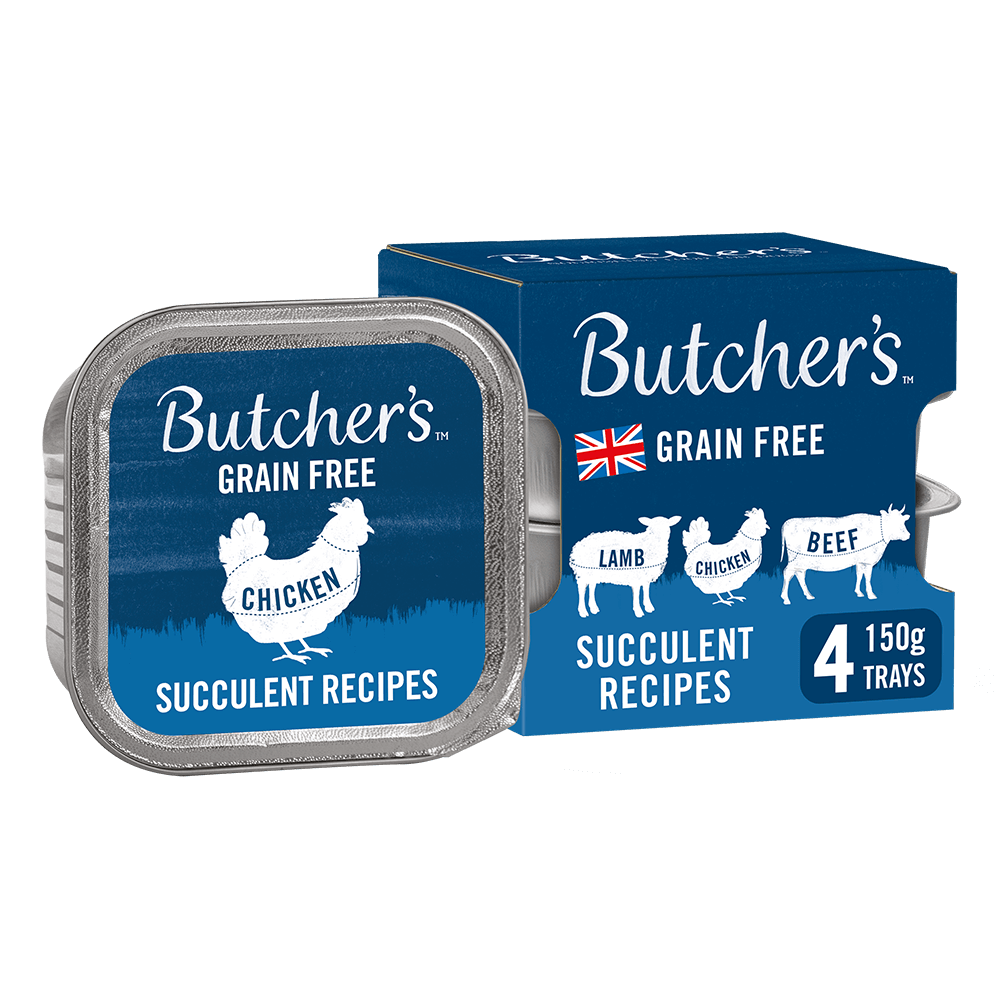 Butcher's Succulent Recipes Dog Food Trays – 4 x 150g / 12 x 150g