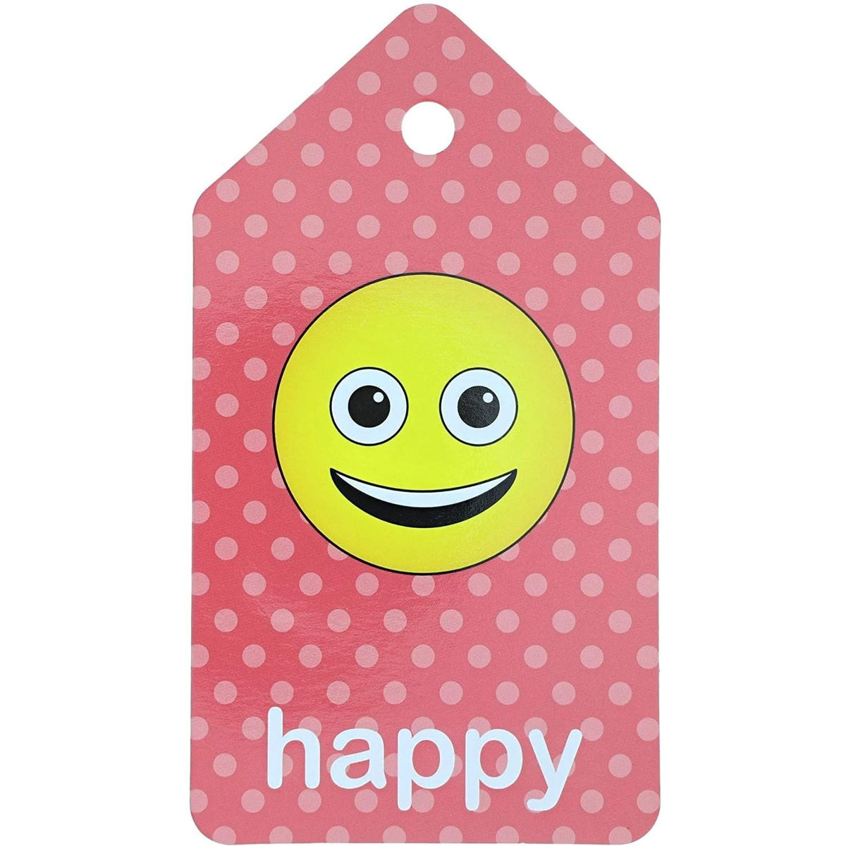 Infinite Curiosity Laminated Number & Alphabet Flash Cards - Ring-Bound 3-Pack, 78 Count