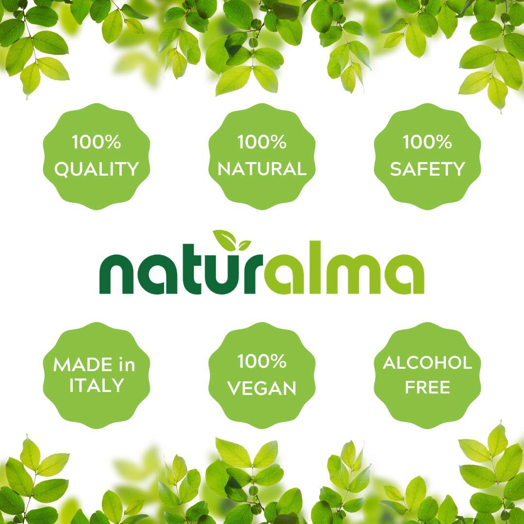 Naturalma Oats Tops Tincture (Avena Sativa) – Alcohol-Free 4 fl oz Drops | Vegan