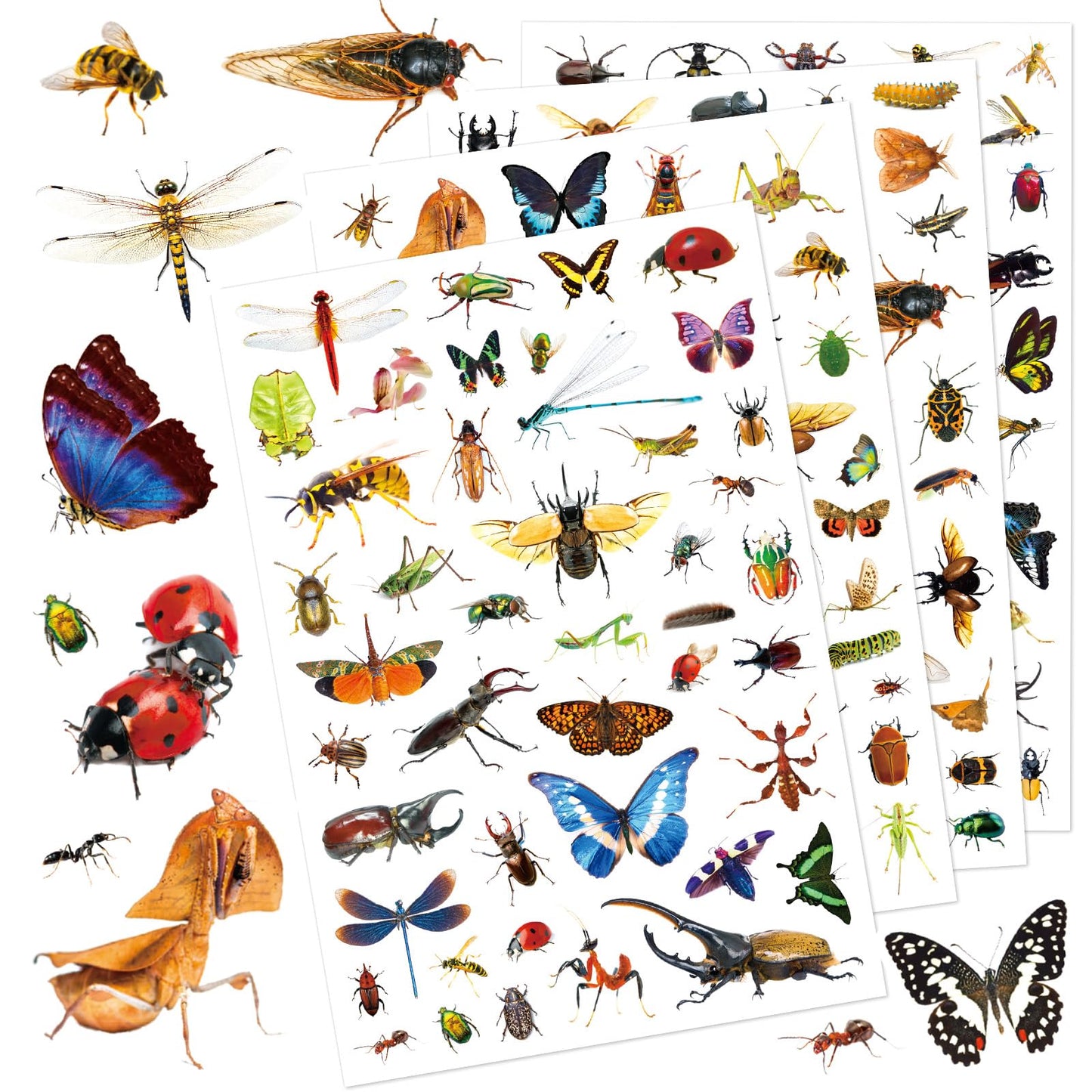 Insect Animals Stickers Pack – 840 Count for Scrapbooks, Planners & Gifts