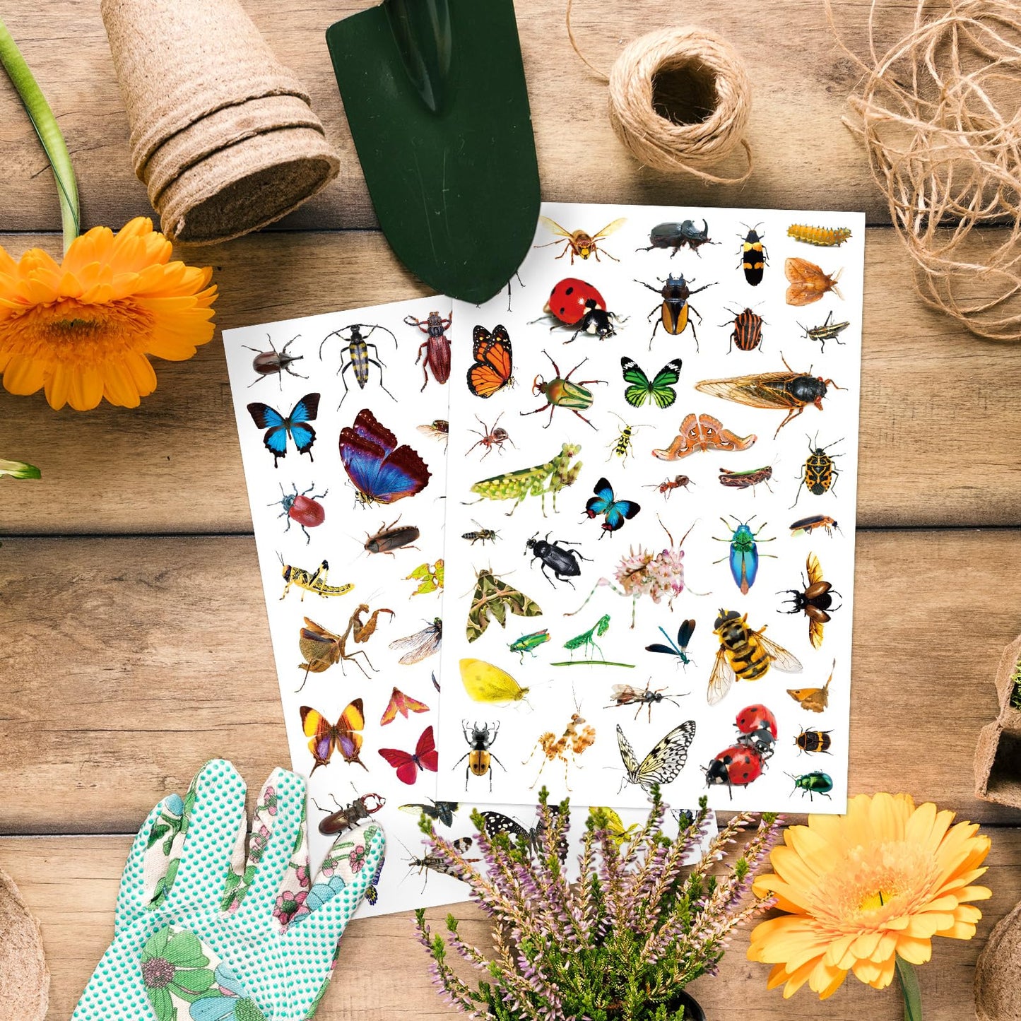 Insect Animals Stickers Pack – 840 Count for Scrapbooks, Planners & Gifts