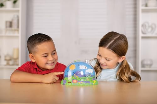 Insect Lore Ladybug Land | Live Ladybug Habitat Kit with Larvae Voucher