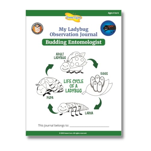 Insect Lore Ladybug Land | Live Ladybug Habitat Kit with Larvae Voucher