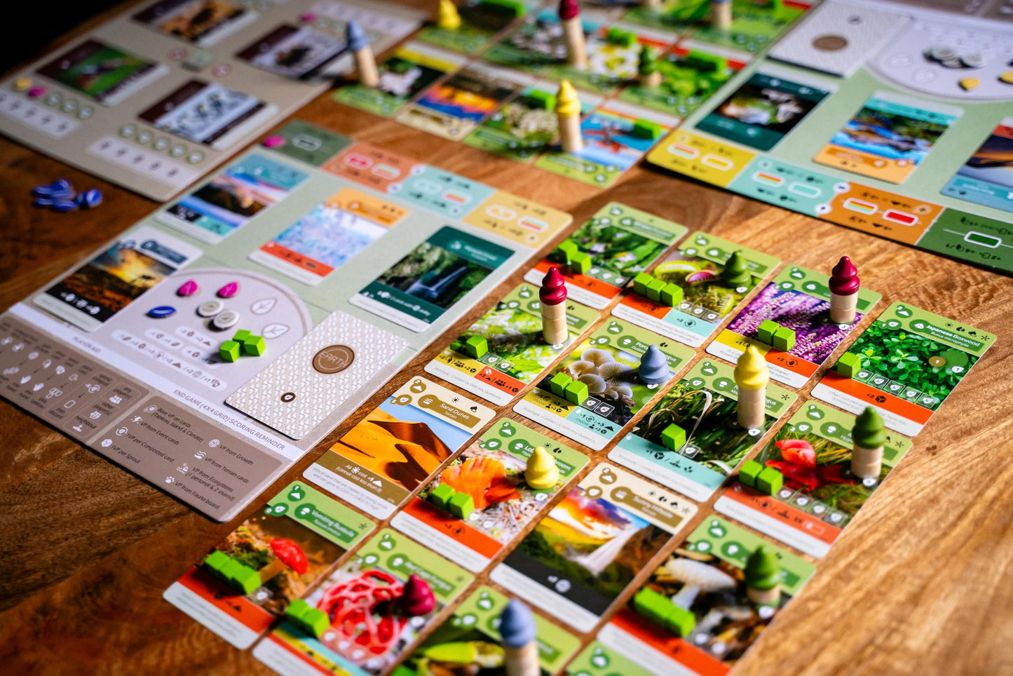 Inside Up Games Earth: Abundance Expansion — Ecosystem Building, Card Drafting & Action Selection (1-6 Players)