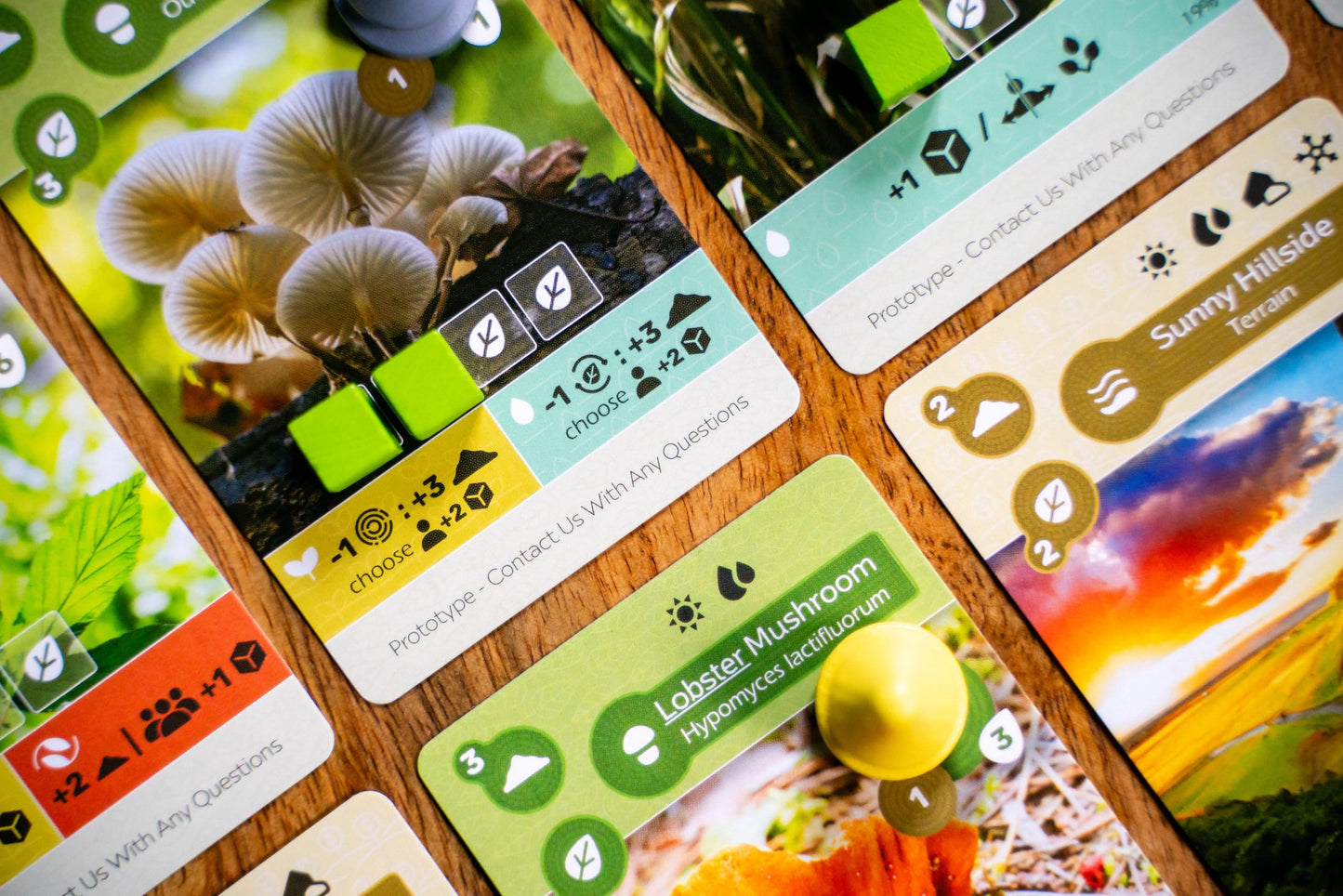 Inside Up Games Earth: Abundance Expansion — Ecosystem Building, Card Drafting & Action Selection (1-6 Players)