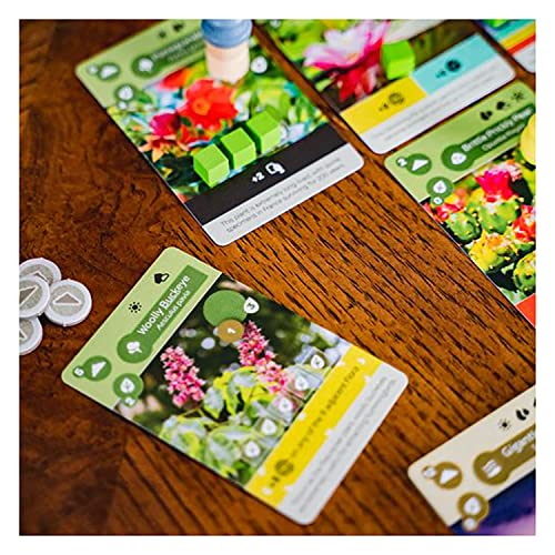 Inside Up Games Earth — Ecosystem Engine Builder for 1-5 Players | 45-90 Min