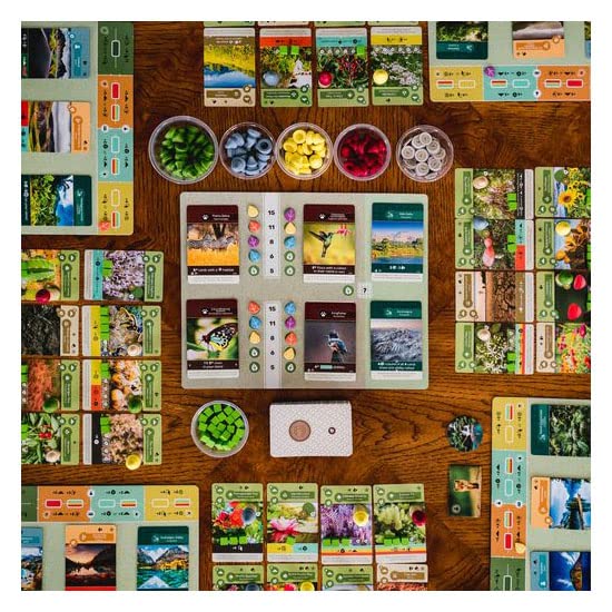 Inside Up Games Earth — Ecosystem Engine Builder for 1-5 Players | 45-90 Min