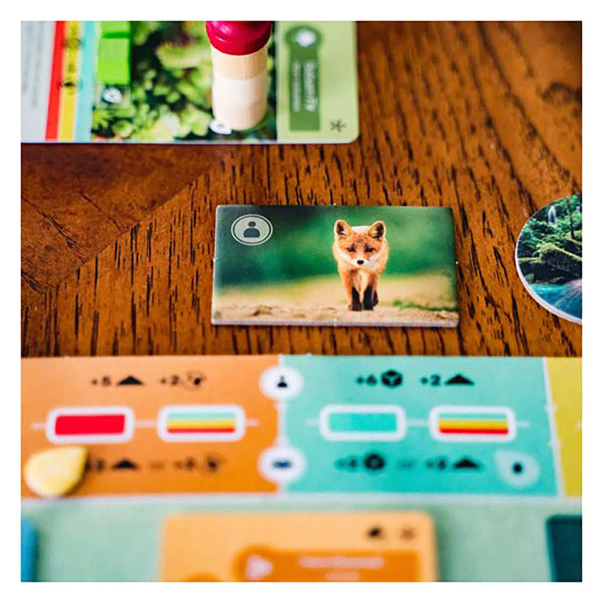 Inside Up Games Earth — Ecosystem Engine Builder for 1-5 Players | 45-90 Min