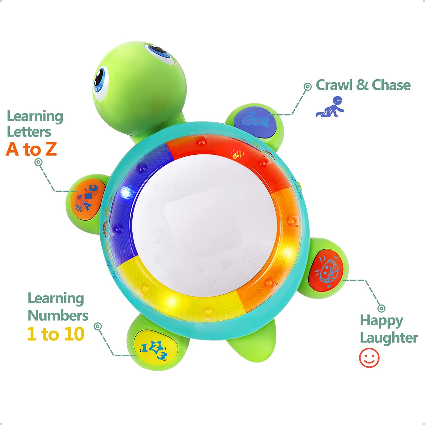 iPlay iLearn Baby Musical Turtle Toy – Spanish-English Bilingual Learning for Toddlers | Light & Sound