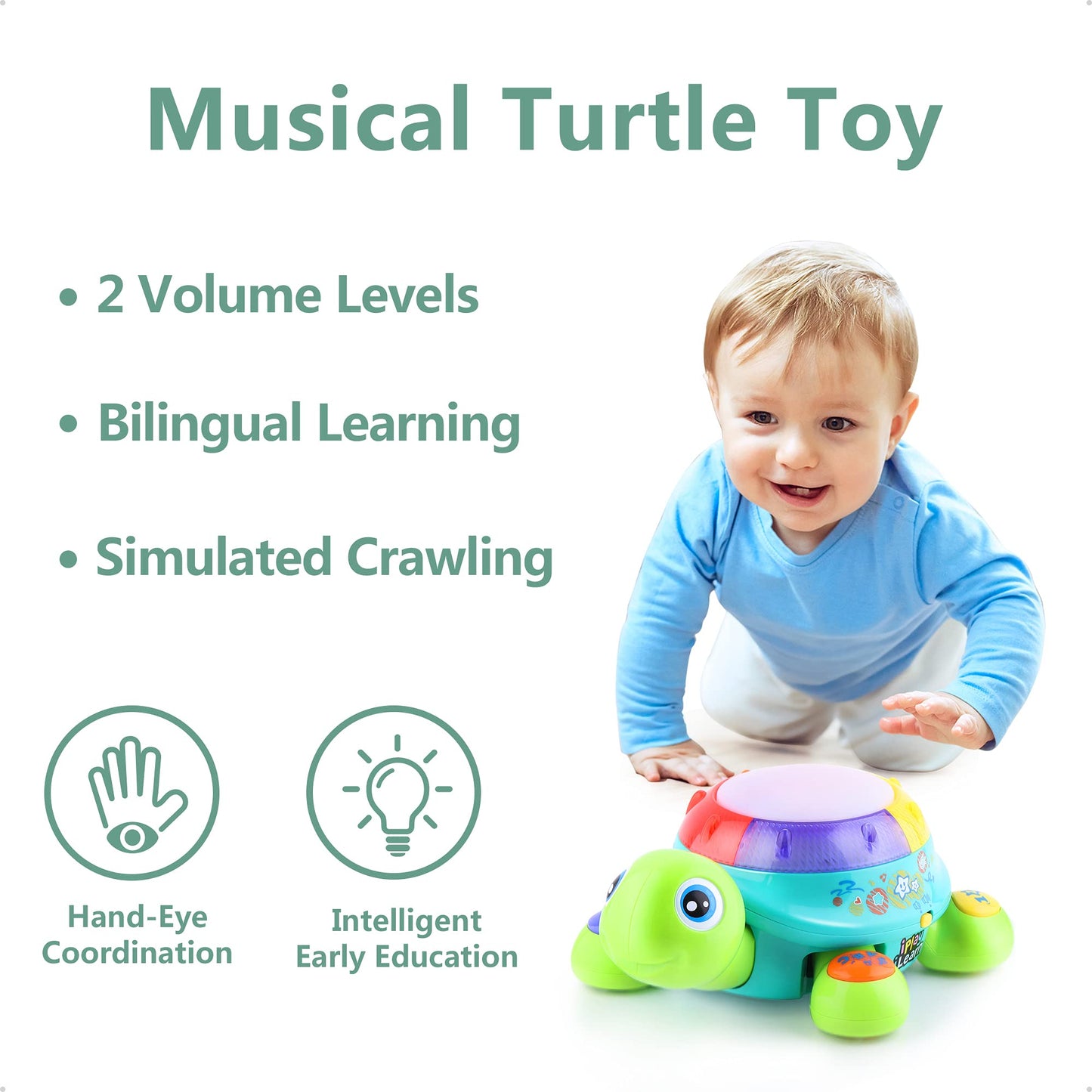 iPlay iLearn Baby Musical Turtle Toy – Spanish-English Bilingual Learning for Toddlers | Light & Sound