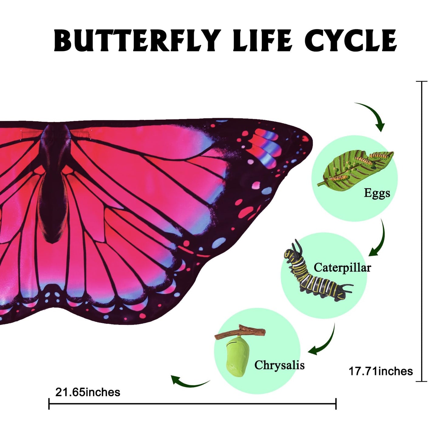 iROLEWIN Double-Sided Kids Butterfly Wings for Toddler Girls | Fairy Dress-Up Costume & Halloween Gift
