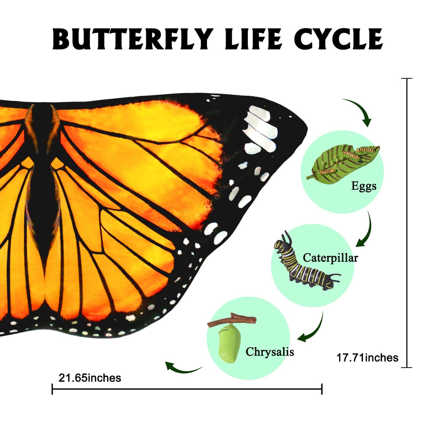 iROLEWIN Double-Sided Butterfly Wings for Toddlers – Fairy Dress-Up Cape & Headband